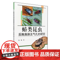 蝽类昆虫后胸臭腺及气孔的研究