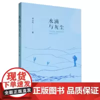 [正版]水滴与灰尘 辛舌代 北方文艺出版社 9787531763314