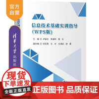 [正版新书]信息技术基础实训指导(WPS版) 卢彩虹 朱丽华 杨红 孙冠男 王欢 王洪岩 初夏 清华大学出版社 信