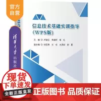 [正版新书]信息技术基础实训指导(WPS版) 卢彩虹 朱丽华 杨红 孙冠男 王欢 王洪岩 初夏 清华大学出版社 信