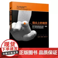指尖上的触觉:基于触觉感知的长度、角度及工作记忆特征研究