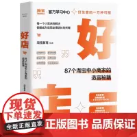 好店:87个淘宝中小商家的造富秘籍
