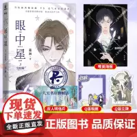 眼中星3完结篇 蓝淋 收录全新番外 子雾啊绘制封面 意外事故君子之交双男主甜宠励志小说 力潮文创