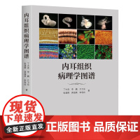 内耳组织病理学图谱 五官科医学书籍 前庭耳蜗解剖切片铺片培养 丁大连 等 著 世界图书出版社正版书籍