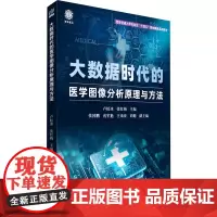 大数据时代的医学图像分析原理与方法:主编:卢虹冰、张红梅;副主编:张国鹏、戎军艳、王弟亚、刘健 著 大中专理科医药卫生