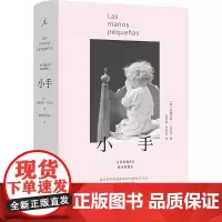 小手 (西)安德烈斯·巴尔瓦 著 童亚星,刘润秋 译 外国小说文学 正版图书籍 广西师范大学出版社