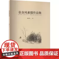 张金凤素描作品集 张金凤 绘 美术作品 艺术 阳光出版社