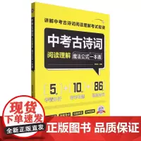 中考古诗词阅读理解魔法公式一本通