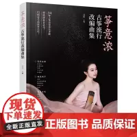 筝意浓:古筝流行改编曲集