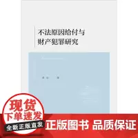 不法原因给付与财产犯罪研究 黄辰著 法律出版社