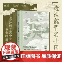 后浪正版 阮籍与嵇康 大沨系列丛书 竹林七贤 人物传记魏晋南北朝 文学史
