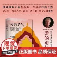 爱的勇气 联结生命内在的智慧与资源 身心修行 斯蒂芬吉利根 与他人相处 孤独生活向往心理治愈疗愈书籍