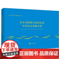 山东省潍弥白浪河水系实用水文预报方案