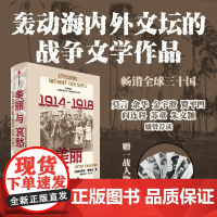 美丽与哀愁:第一次世界大战个人史