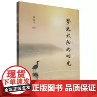 梦见太阳的时光