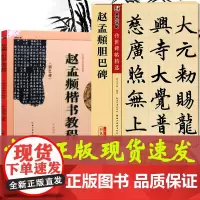 正版 2册 赵孟俯胆巴碑+赵孟俯楷书教程 原帖+教程 毛笔字帖毛笔楷书入门基础教程 临摹描红初学者楷书千字文中国书法培训