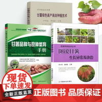红薯种植技术 图说甘薯生长异常及诊治+绿色高产高效种植技术+品种与良种繁育手册全3册红薯山芋地瓜高效栽培书籍疾病防治病虫
