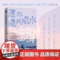 [余杭新华正版]愿你顺风顺水,自成山海 作家DTT沉淀7年带给年轻人一部全新的成长答案之书 30+个高频内耗的难题 美好