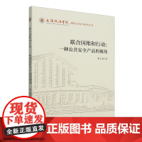 联合国维和行动:一种公共安全产品的视角