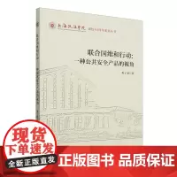 联合国维和行动:一种公共安全产品的视角