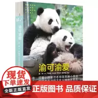 [余杭新华正版]渝可渝爱 蒋林著 讲述重庆动物园“顶流兄妹”渝可渝爱故事图文集 平装书 100多幅可爱瞬间 四川人民出版
