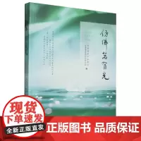 仿佛若有光