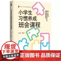 小学生习惯养成班会课程 大夏书系 全国中小学班主任培训用书 教学理论 教师教育 正版书籍