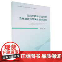 发泡充填料浆流动性及充填体强度演化规律研究