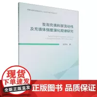 发泡充填料浆流动性及充填体强度演化规律研究