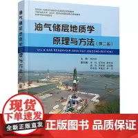 油气储层地质学原理与方法(第二版):姚光庆 编 大中专理科科技综合 大中专 中国地质大学出版社