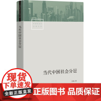 当代中国社会分层 中国资深社会学家李强扛鼎之作 中国当代社会学经典中产 中国社会结构的变化理论报告论文通俗易懂书籍 生活