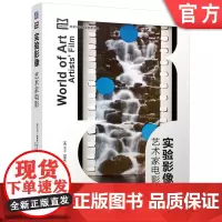 正版 实验影像 艺术家电影 收录400多位影像制作者及其作品 涵盖电影 录像与装置 David Curtis 978