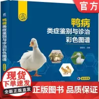 正版 鸭病类症鉴别与诊治彩色图谱 提金凤 9787111764281 机械工业出版社
