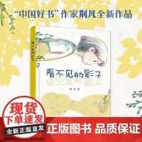 看不见的影子 荆凡著 2024暑假百班千人推 荐6/六年级小学生课外阅读书籍儿童文学经典书目 接力