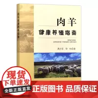 肉羊健康养殖指南 周占琴 华松 编 9787109311718 中国农业出版社