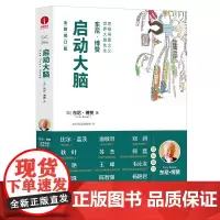 启动大脑 东尼博赞思维导图系列 启动大脑 大脑操作手册 逻辑思维训练书籍 左右脑开发逻辑思维训练书学习技巧书籍颉腾