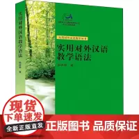 实用对外汉语教学语法:陆庆和 著 大中专文科文教综合 大中专 北京大学出版社