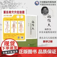 董氏奇穴穴位挂图杨维杰区位易象特效对针灸特效穴组杨二针特效对针区位易象杨维杰董景昌董氏奇穴人体经络正经新穴位速查选取穴位