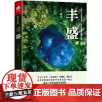 丰盛 杨定一的书好睡神圣的你真原医时间的陷阱静坐的科学转折点同作者 秘密吸引力法则成功秘诀背后秘密励志书籍 劼腾