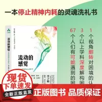流动的感觉 走出困境的心灵哲学 著名家庭治疗大师 国内后现代心理学 李子勋 著 经典心灵成长书系 颉腾