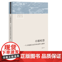 小镇喧嚣一个乡镇政治运作的演绎与阐释 以迎检开发收税征地维权等 中国乡镇政治观察论著社会科学总论书籍 生活书店