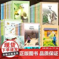 大家小绘系列全套35册 儿童绘本3-6-9-12岁小学生课外阅读书籍少年闰土阿Q正传庐山游记稻草人琵琶行将相和乡愁没有秋