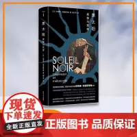 黑太阳 抑郁与忧郁 守望者 朱莉娅·克里斯蒂娃 编著 南京大学出版社 ND