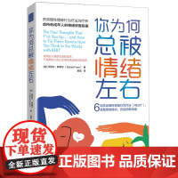 你为何总被情绪左右:6周学会理性情绪行为疗法(REBT),重塑思维模式,告别消极情绪