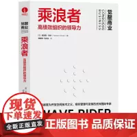乘浪者 高绩效组织的领导力 哈里森欧文著 提高团队绩效领导力领导管理学 颉腾