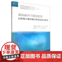 复杂条件下受限空间瓦斯煤尘爆炸耦合机理及伤害模型