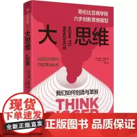 大思维 哥伦比亚商学院六步创新思维模型 (美)希娜·艾扬格 著 风君 译 国内贸易经济经管、励志 正版图书籍 中信出版社