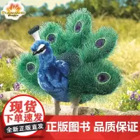Folkmanis手偶毛绒玩具仿真孔雀女童玩偶儿童生日礼物女孩儿童节