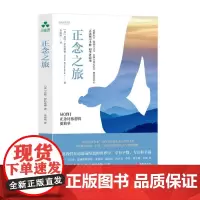 正念之旅 摆脱抑郁与情绪压力 正念认知疗法 疏解压力 自制力和记忆力 增强自信心 心理治疗医学正念干预正念减压疗法颉腾
