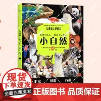 正版书籍 儿童纸上纪录片:小自然波点童趣花山文艺出版社有限责任公司自然科学 人天书店书排行榜
